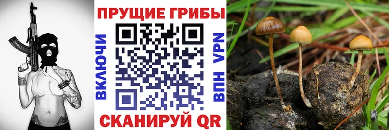 Галлюциногенные грибы Magic Shrooms  Шиханы 